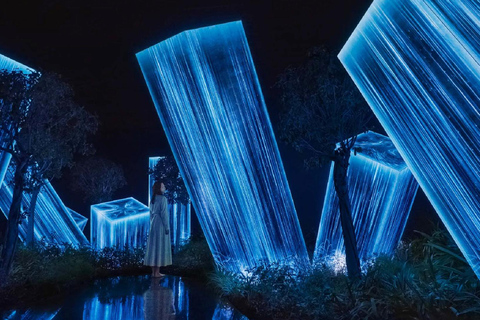 من دبي: جولة في متحف اللوفر أبو ظبي وتيملاب ومتحف زايدجولة خاصة: متحف اللوفر وTeamLab ومتحف زايد الوطني