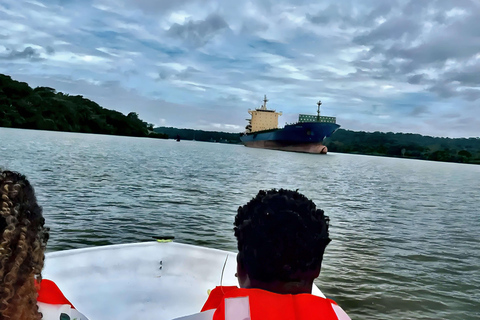 Feed Wild Monkeys on Panama Canal at Monkey Island Adventure No Hotel Pickup