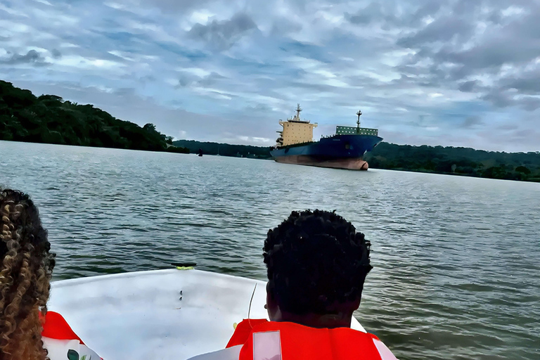 Feed Wild Monkeys on Panama Canal at Monkey Island Adventure No Hotel Pickup