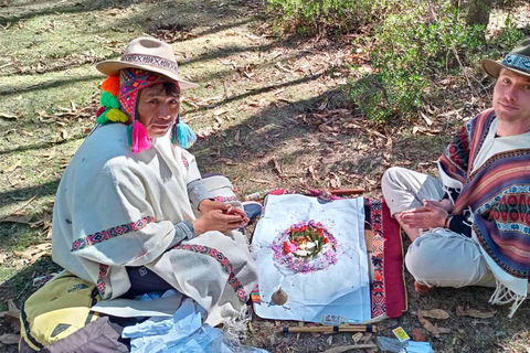 Wachuma (San Pedro) and Ayahuasca Retreat 4D - Private VIP