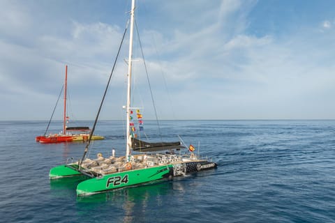 Costa Adeje: Whale-Watching-Bootsfahrt mit Snack und Getränken