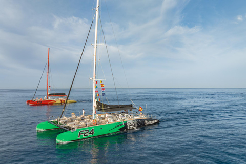 Ab Costa Adeje: Whale Watching-Tour mit Speisen & GetränkenTour mit Abholung