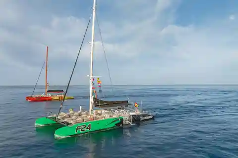 Costa Adeje: Whale Watching Cruise with Snack and Drinks