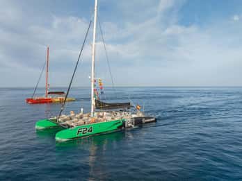 Costa Adeje: crucero de avistamiento de ballenas con aperitivo y bebidas