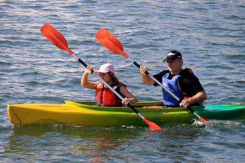 Varsavia: Esperienza di kayakEsperienza di kayak: Alla scoperta della Varsavia meridionale.