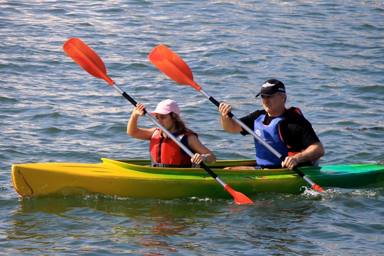 Varsovie : Expérience de kayakExpérience de kayak : Explorer le cœur de Varsovie