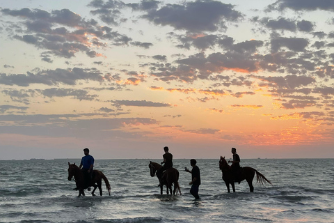 Jeddah: Guidad ridtur