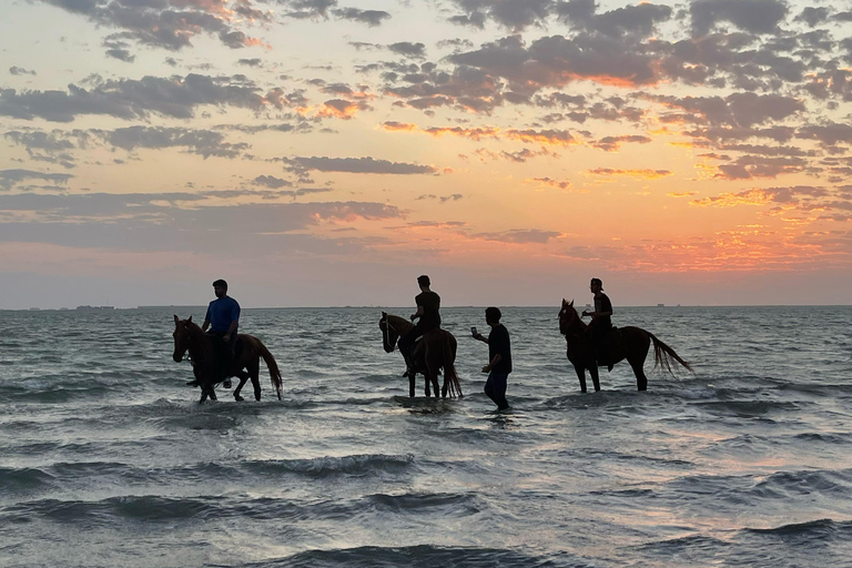 Horse Riding in Jeddah