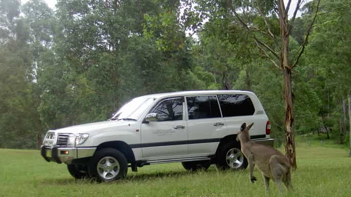 sydney blue mountains high country fullday eco tour