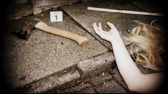 the dark side of bremen killers and criminals