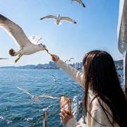 Busan Coastal Tour: Yonggungsa, Cruise & Gamcheon