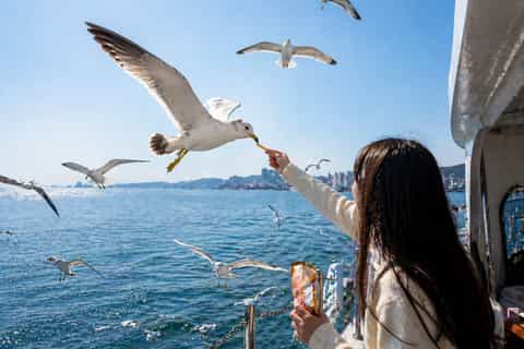 Busan Coastal Tour: Yonggungsa, Cruise & Gamcheon - Image 3