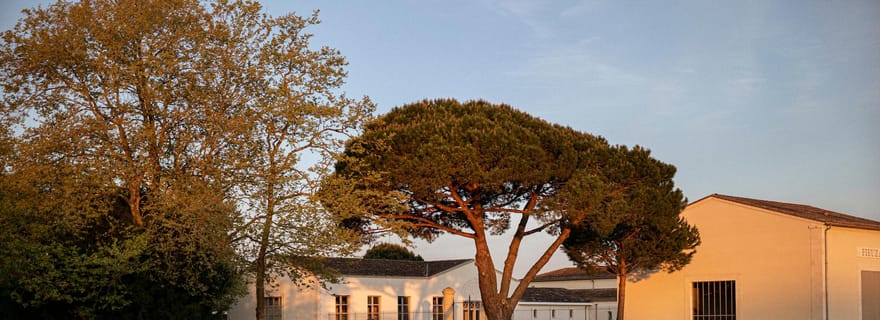 Château de Fieuzal : découvrez un Grand Cru Classé familial en petit groupe