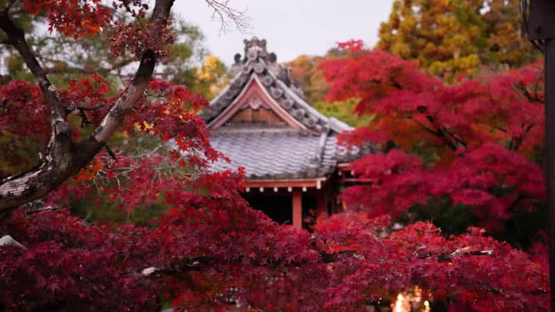 Koyasan spirituális túra: luxus Alphard és engedélyezett sofőr