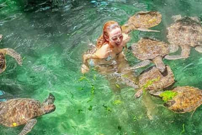 Nungwi: Swim with Sea Turtles at Sanctuary with Transfer Private Tour with Hotel Transfer Anywhere in Zanzibar