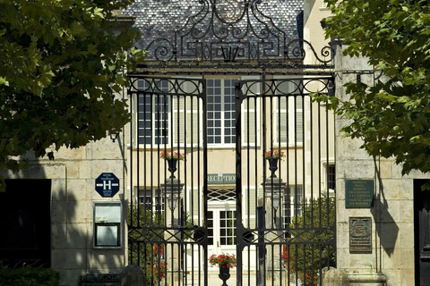 Lyon: Beaujolais Wine Tour with Tastings and Castle Visits