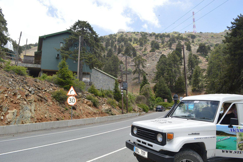 Troodos Mountains, Kykkos Monastery & Winery Adventure