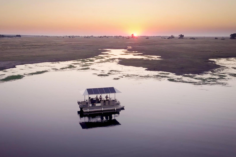 From Victoria Falls: Botswana & Zambia Day Trip with Safari