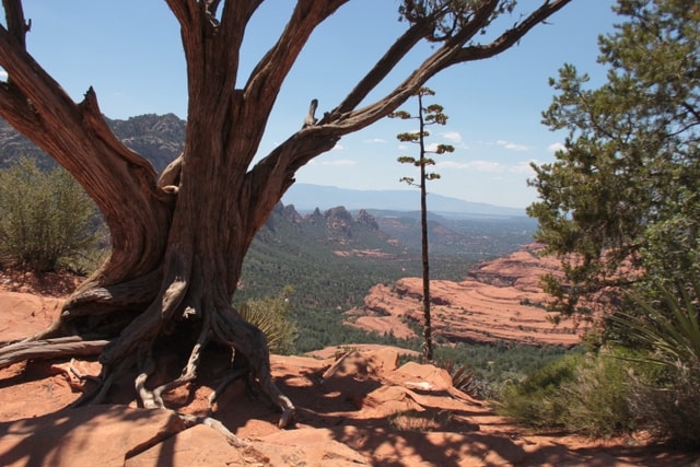 Visit Sedona 2-Hour Colorado Plateau Scenic Tour in Sedona, AZ