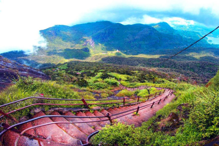 La migliore guida di viaggio dello Sri Lanka: Attrazioni principali Scoprire