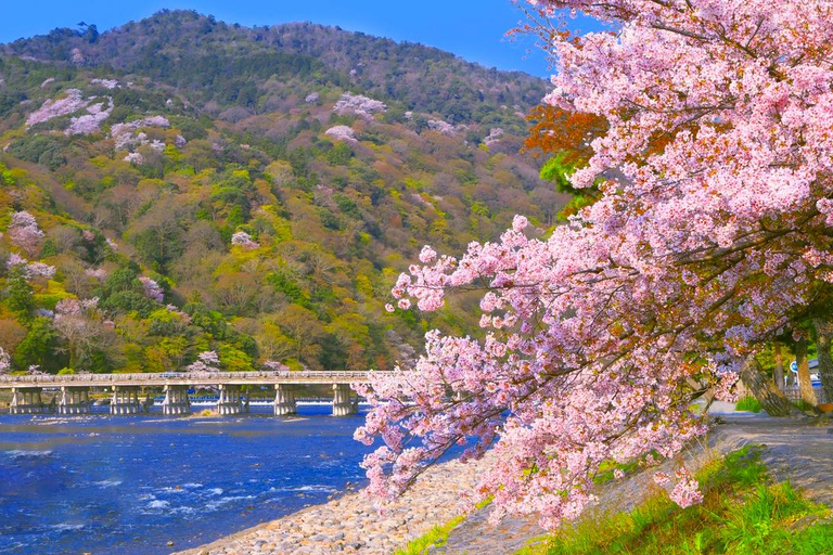 From Osaka: Arashiyama, Fushimi Inari & Katsuo-ji Day Tour