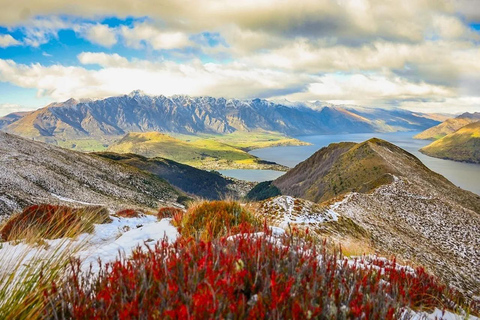 Queenstown: Private Night Tour with Skyline views with guide