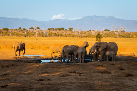 From Diani Beach or Mombasa: 2-Day Tsavo East Safari