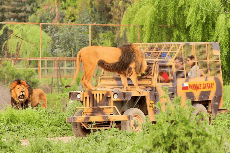 Santiago: Tour Safari Rancagua