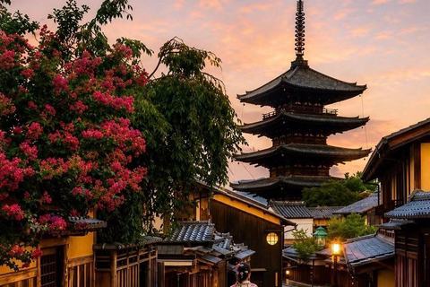Kyoto & Osaka: Private Customizable Day Trip with Guide