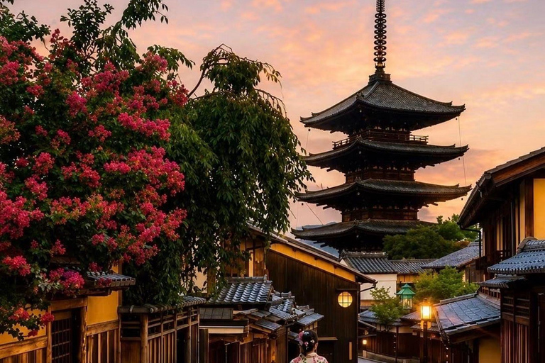 Kyoto & Osaka: Private Customizable Day Trip with Guide