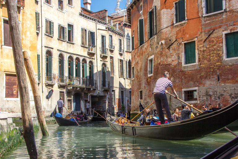 Venedig: Ganztägiger Ausflug ab Mailand mit StadttourTour auf Englisch