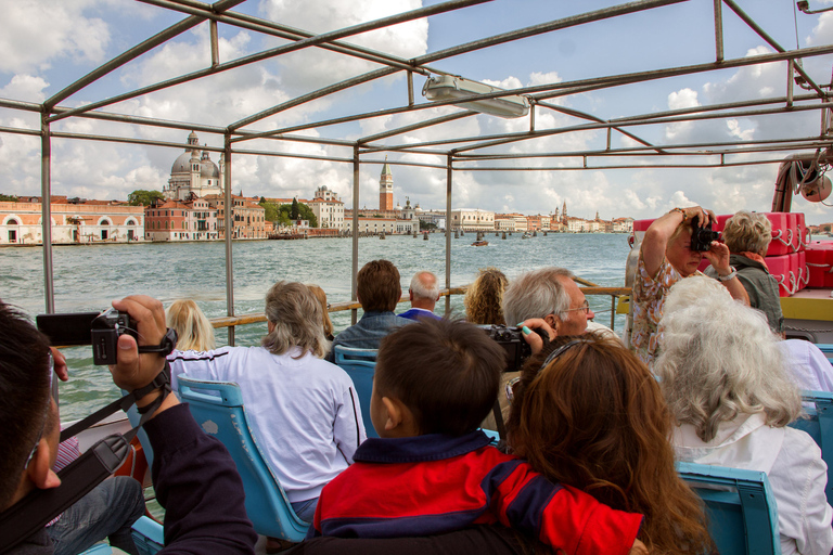 Venetië: Dagtocht vanuit Milaan met stadsrondleidingTour in het Engels en Spaans