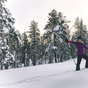 Pyhätunturi : visite privée en raquettes avec un guide de la région