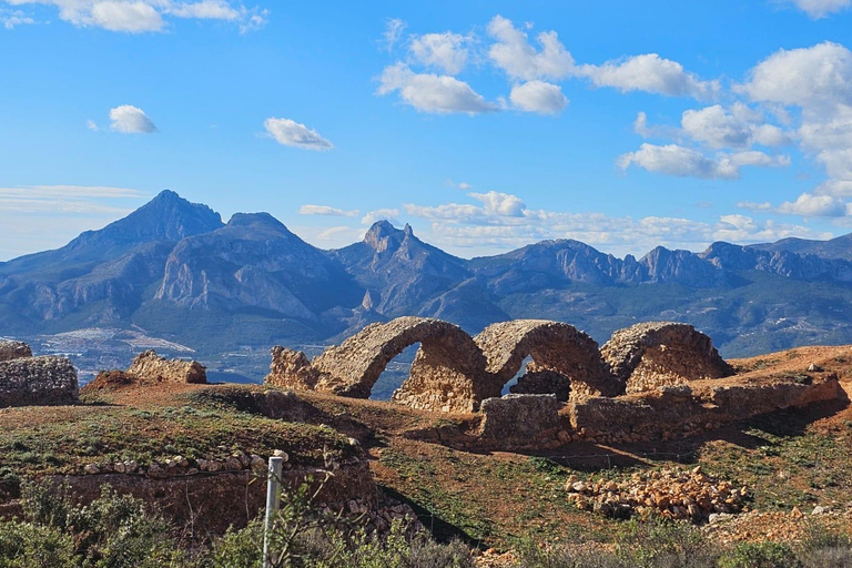贝尔尼亚山脉环线：穿越 Forat 隧道的导览徒步提供接送服务