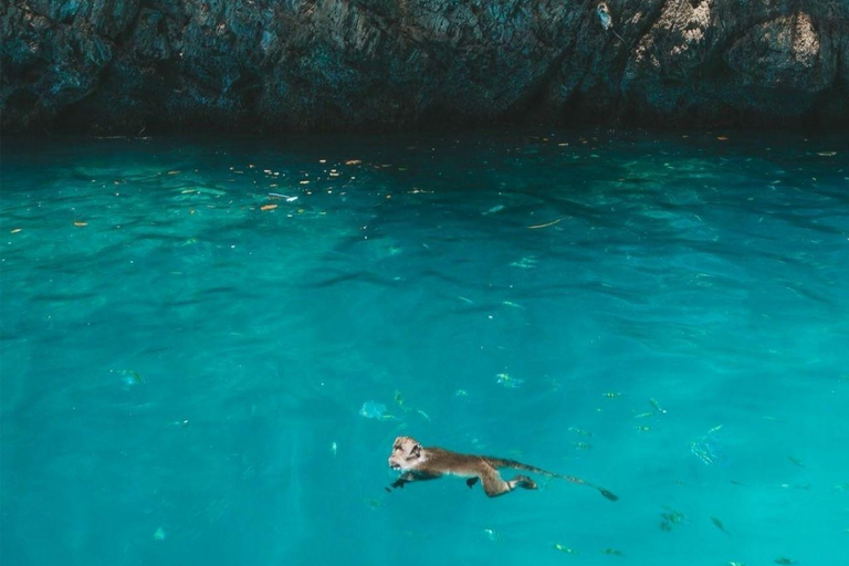 Krabi: Phi Phi Islands Day Trip by Speedboat & Buffet Lunch