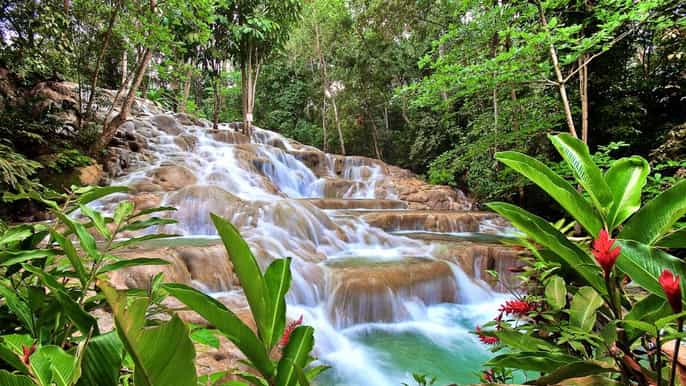 dunns river falls e ocho rios 5 horas de excursão pela costa norte