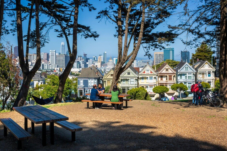 San Francisco: Muir Woods & Sausalito Private Tour