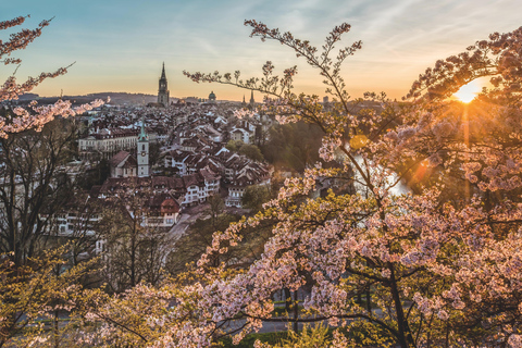 Bern: LGBTQ+ Walking Tour along the Aare and through the Old Town