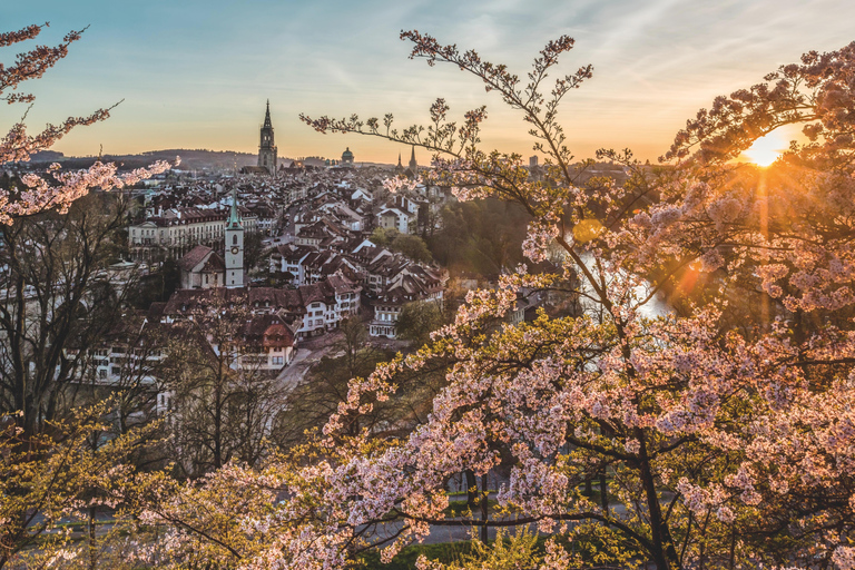 Bern: LGBTQ+ Walking Tour along the Aare and through the Old Town