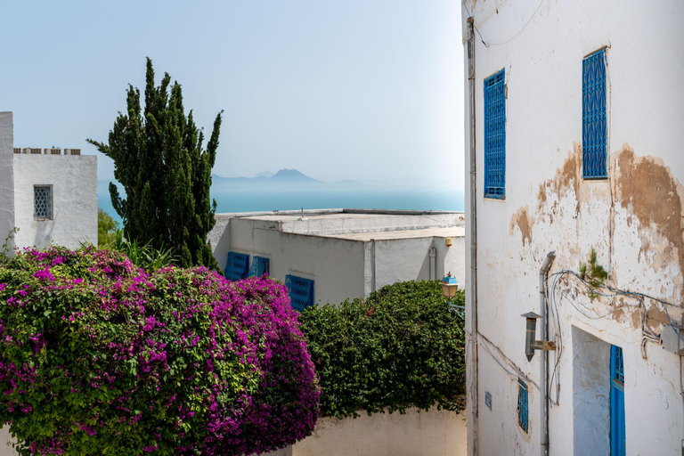 From Sousse & Monastir: Carthage, Sidi Bou Said & Tunis Tour