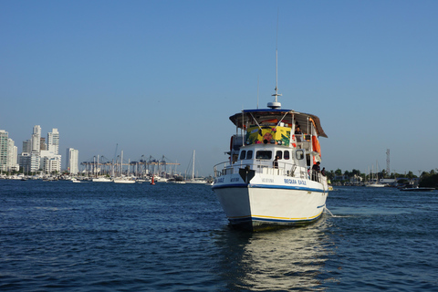 Carthagène : excursion en bateau de nuit avec dîner et open barCARTAGENA : Excursion en bateau de nuit blanche avec dîner et open bar