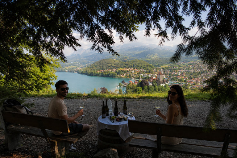 Interlaken: Wine & Cheese Tasting at Spiez Castle Vineyards