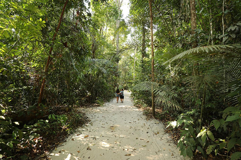 Manaus: Besök på MUSA (Amazonas museum)