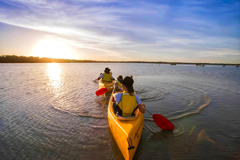 Rovaniemi: Arctic Canoeing Trip & Barbeque Arctic Canoeing Trip & Barbeque - Small group