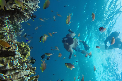 Découverte de Moalboal et aventure en canyoning à KawasanDécouverte de Moalboal et aventure canyonnique à Kawasan