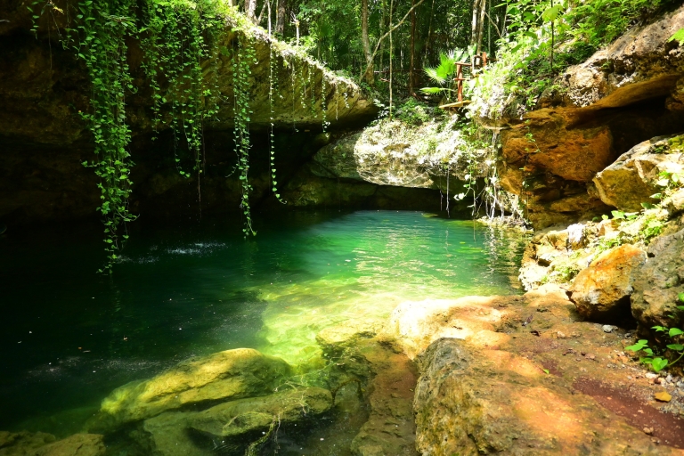 Cancún: viaje de un día a los cenotes con tirolesa y remoCancún: aventura en cenotes con tirolinas y tablas de remo