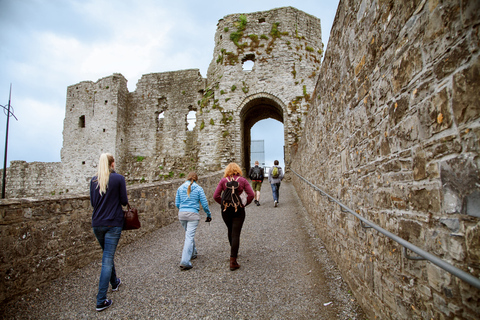 From Dublin: Celtic Boyne Valley and Ancient Sites Tour