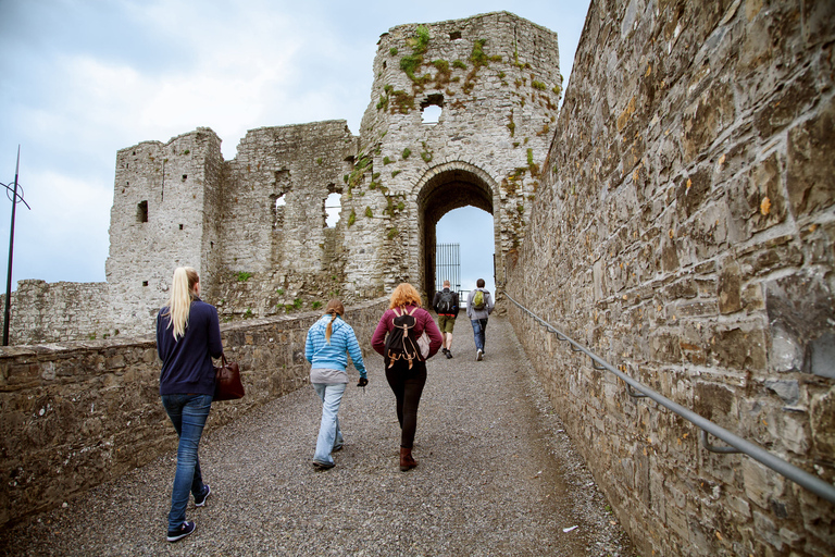 Da Dublino: Tour della valle celtica del Boyne e dei siti antichi