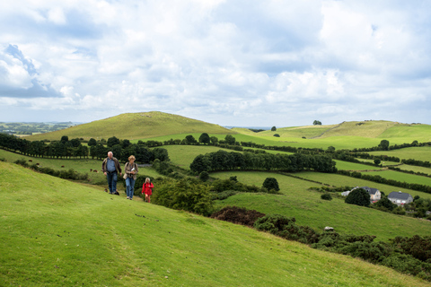 Vanuit Dublin: Keltische Boyne Valley en oude bezienswaardigheden tour