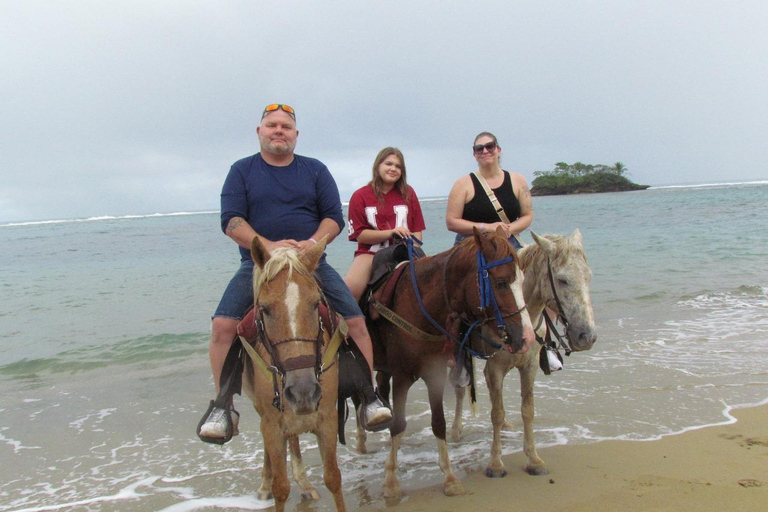 Puerto Plata: Horseback Tour of the Beach and Local Community